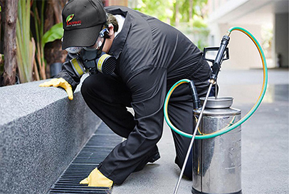 Expert Pest Prevention Technicians | Command Pest Control