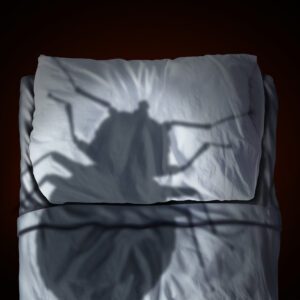south florida pest control, bed bug treatment