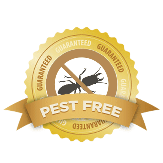 Pest Control Service Coquitlam