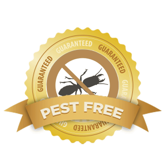 pest free guarantee