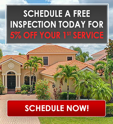 Schedule a free inspection for the best termite and pest control